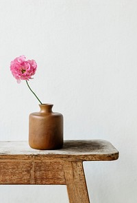 Pink peony in a vase by the wall