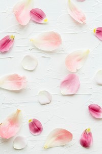 Colorful flower petals background design