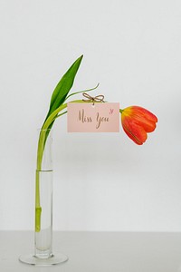 Tulip with a miss you tag in a vase