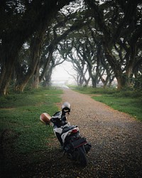 Motorbike on a roadside in a park