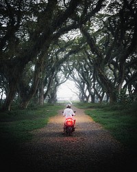 Man on a motorbike in a park