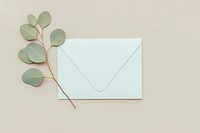 Eucalyptus populus leaves with a white envelope mockup