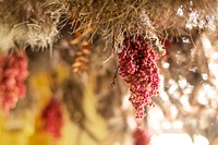 Dry flowers and berries hanging from the ceiling