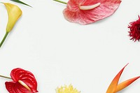 Colorful tropical flowers frame on a white background mockup