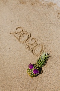 Cool pineapple wearing a purple sunglasses with a year 2020 word on the beach