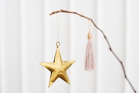 Golden festive star hanging on a branch
