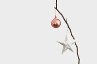 White star and a bauble on a branch