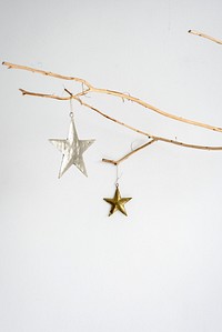Festive golden and silver stars on a branch