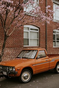 Vintage orange pick up truck parked by a blooming tree