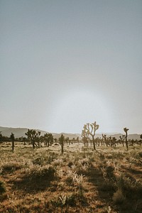 Rugged terrain in the Californian desert