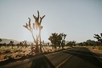 Road though the Californian desert