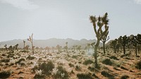 Nature desktop wallpaper background, rugged terrain in the Californian desert