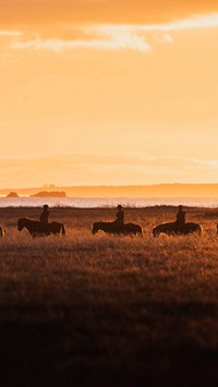 Nature mobile wallpaper background,  trail riding in Iceland at sunset