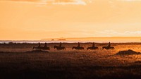 Nature desktop wallpaper background, trail riding in Iceland at sunset