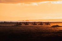 Trail riding in Iceland at sunset