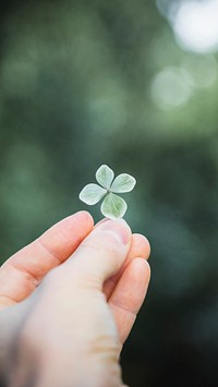 Nature mobile wallpaper background, four-leaf clover