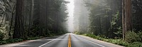 Scenic route in the Redwood National Forest in California, USA