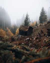 Ruined hut in a misty woods