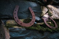Pair of stained horseshoes on a mossy log