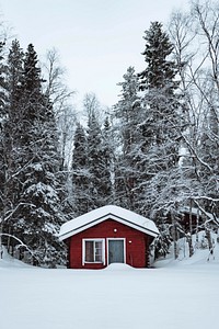 Red cabin in a snowy forest