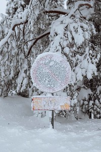 No parking sign covered in snow