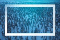 Spruce trees covered by snow at Riisitunturi National Park, Finland