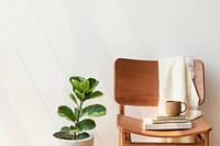 Classic wooden chair by a fiddle-leaf fig plant