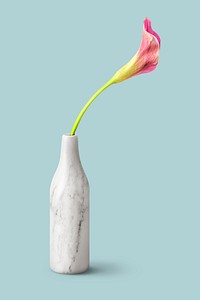 Pink calla lily flower in a white marble vase mockup