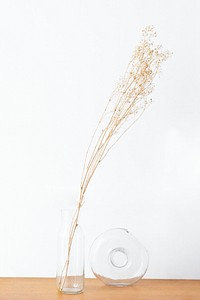 Dry gypsophila in a clear glass vase on a wooden table
