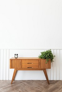 Dischidia oiantha white diamond plant on a wooden cabinet