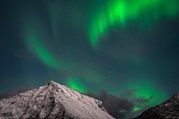 The northern lights on Lofoten island in Norway 
