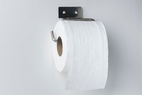 Toilet tissue roll on a holder