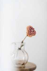 Dry peony flower in a glass jug on a wooden stool in a white room