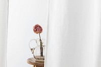 Dry peony flower in a glass jug on a wooden stool in a white room