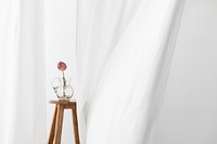 Dry peony flower in a glass jug on a wooden stool in a white room