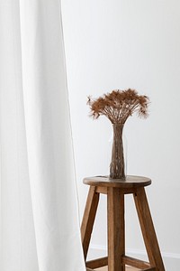 Bunch of dry papyrus plant in a glass vase on a wooden stool by a white curtain