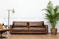 Modern industrial luxury style living room interior with leather couch, golden lamp, and houseplants 