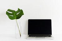 laptop on white background minimal style