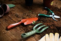 Gardening tools on a wooden table