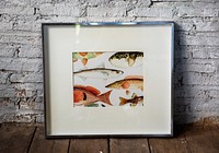 Photo of hand drawing fish in a frame