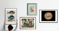 Photo frames with pictures on the white wall