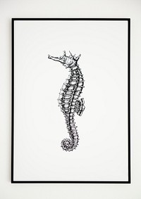 Picture frame mockup with a seahorse drawing