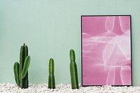 Cactus and photo frame