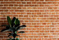 Brickwall background