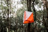 Orienteering box outdoor in a forest