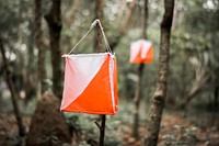 Orienteering box outdoor in a forest