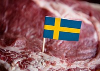 Fresh Swedish beef steak food photography recipe idea