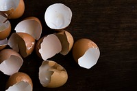 Shells of organic free range eggs
