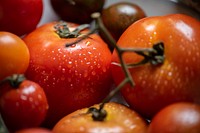 Close up of fresh organic tomatoes