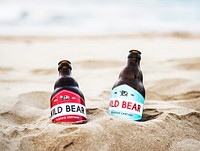 Two beer bottles buried in the sand